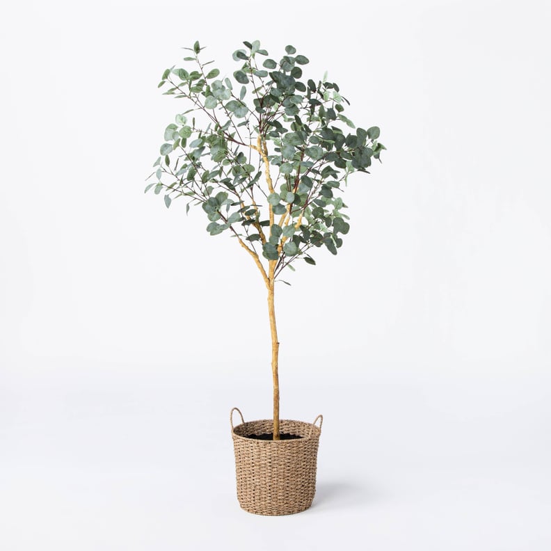 15 Variegated Ficus Artificial Plant - Threshold™ Designed With Studio  Mcgee : Target