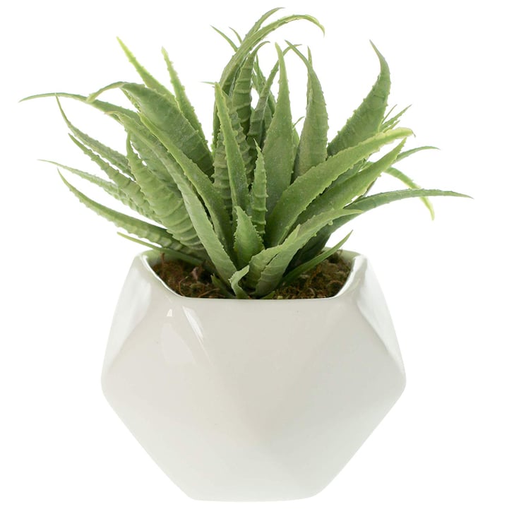 Small Faux Aloe Succulent Best Fake Plants That Look Real POPSUGAR Home Photo 45