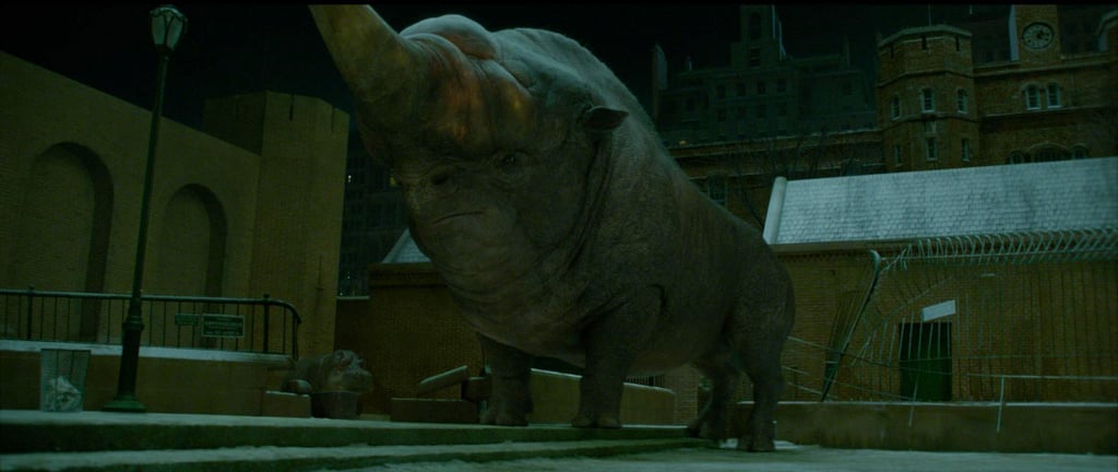 Fantastic Beasts and Where to Find Them Pictures