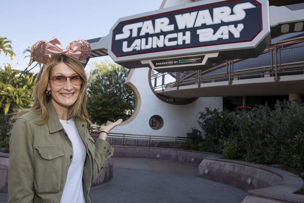 Laura Dern wore sparkly mouse ears in February 2018.
