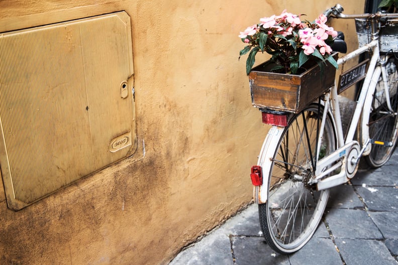 It's the perfect time for bike rides.