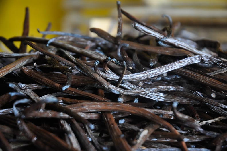 Vanilla pod from Reunion Island live from the local producer