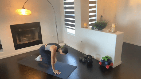 Warmup Exercise 6: Bird Dog With Knee to Chest