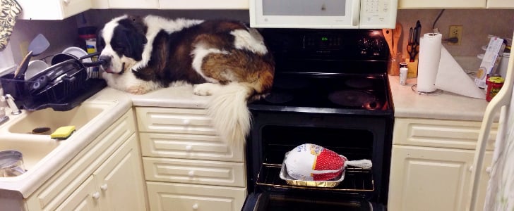 Thanksgiving Fails