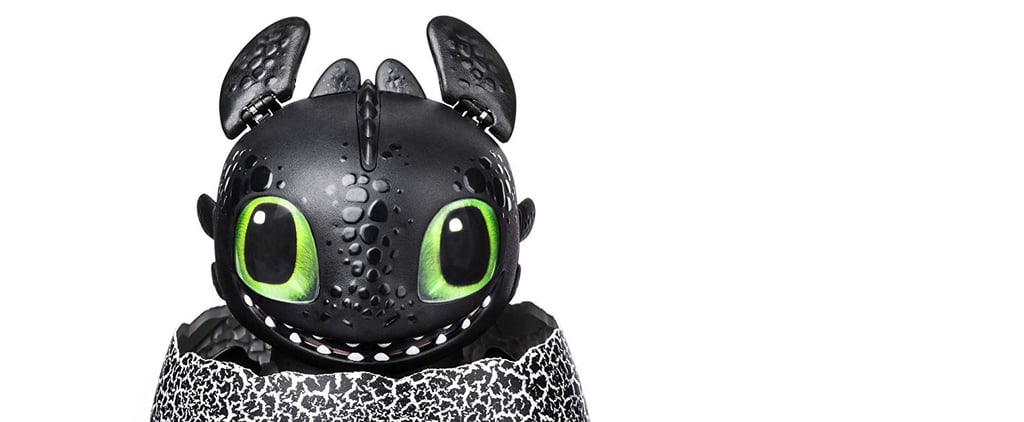 Spin Master How to Train Your Dragon Hatching Toothless