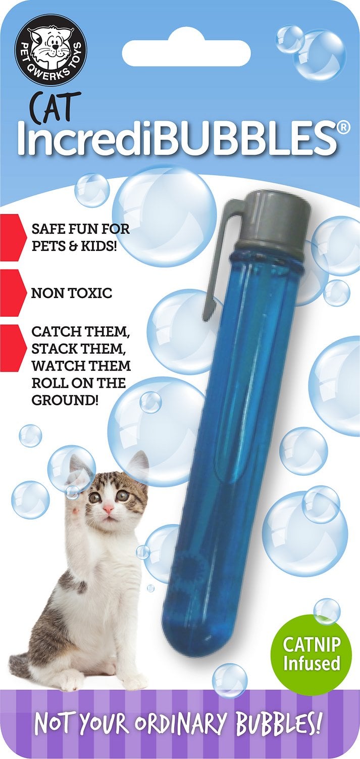 Fun Cat Products For Small Apartments Popsugar Pets