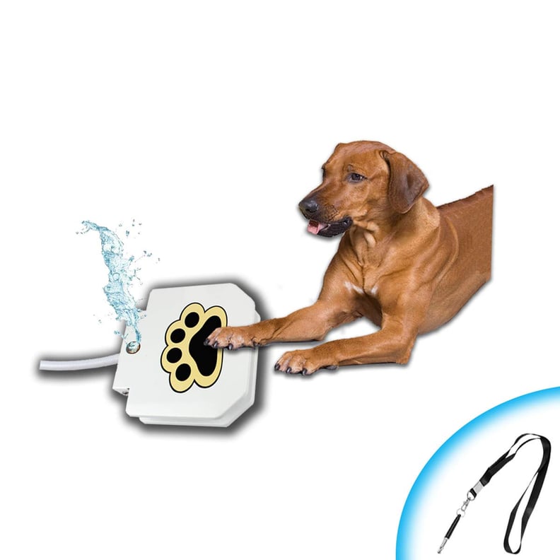 KninePal Step on Dog Water Fountain and Sprinkler Toy