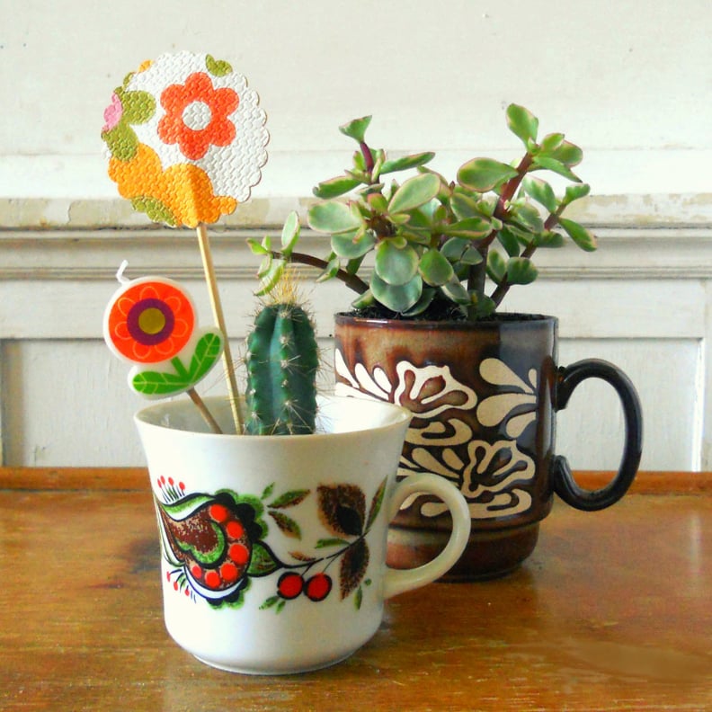 Succulents in Vintage Cups