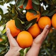 12 Foods That Can Help Naturally Boost Your Intake of Vitamin C