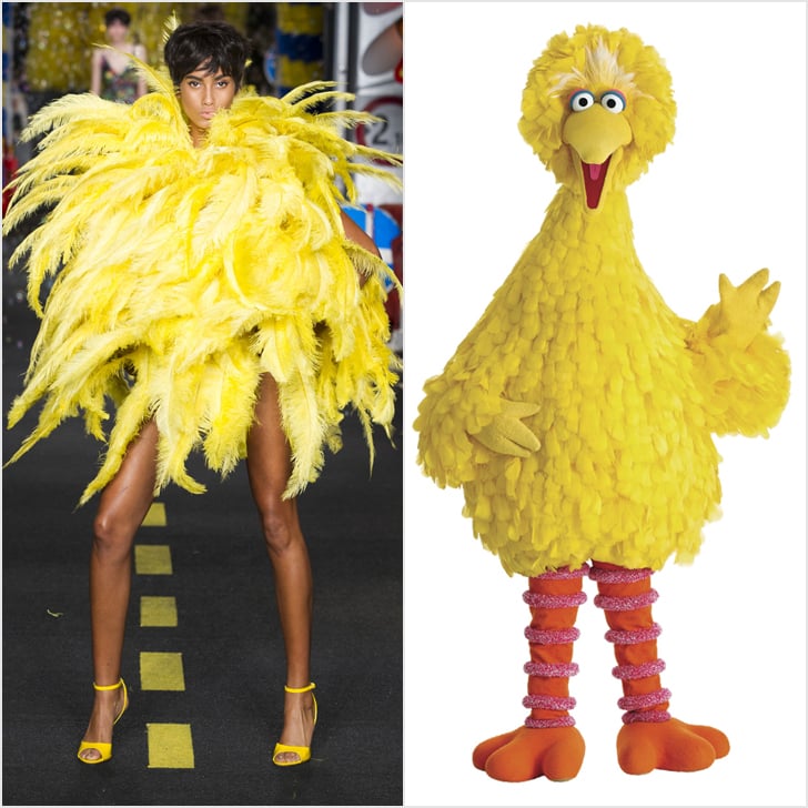 Big Bird From Sesame Street