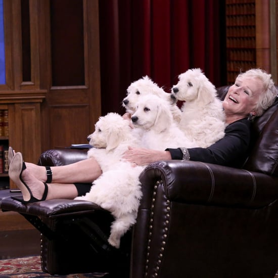 Glenn Close and Finn Wolfhard Play Pup Quiz on Fallon 2018