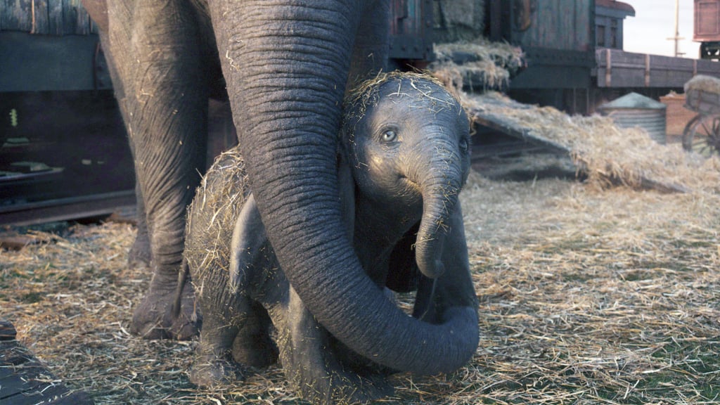 Dumbo proves how strong a mother's love is.