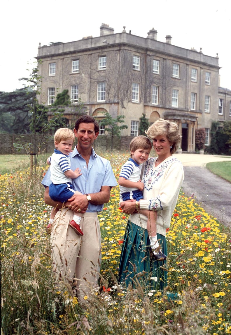 Royal Homes: Highgrove House Wildflower Meadow