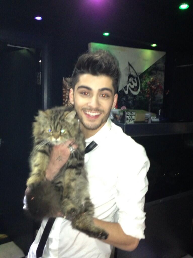 When He Held a Cat and You Wished You Were That Cat