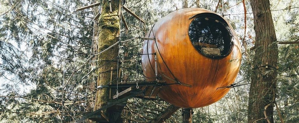Best Treehouses Around the World