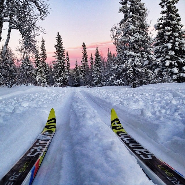 Cross-Country Skiing