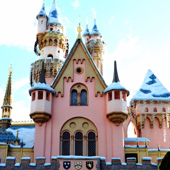 One Day at Disneyland Plan