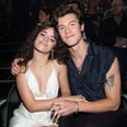 Camila Cabello Confirms Her New Song, "Bam Bam," Is About Shawn Mendes