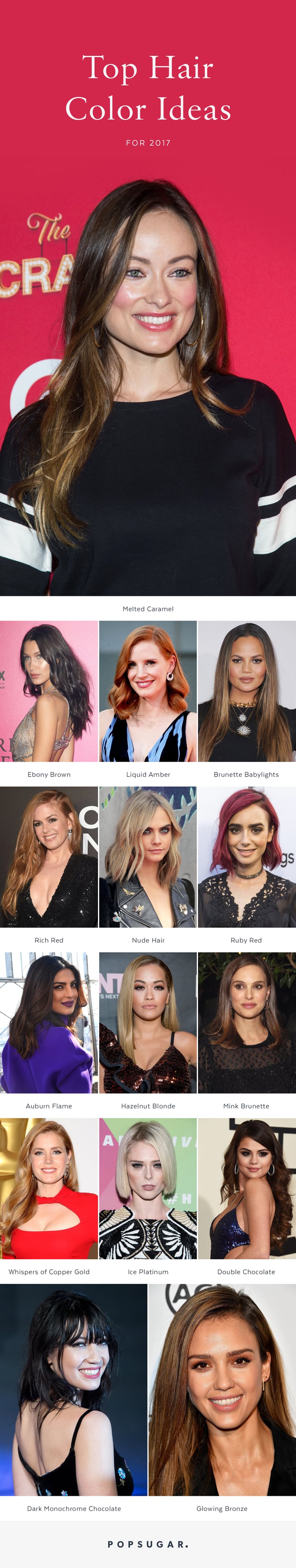 Hair Color Ideas 2017