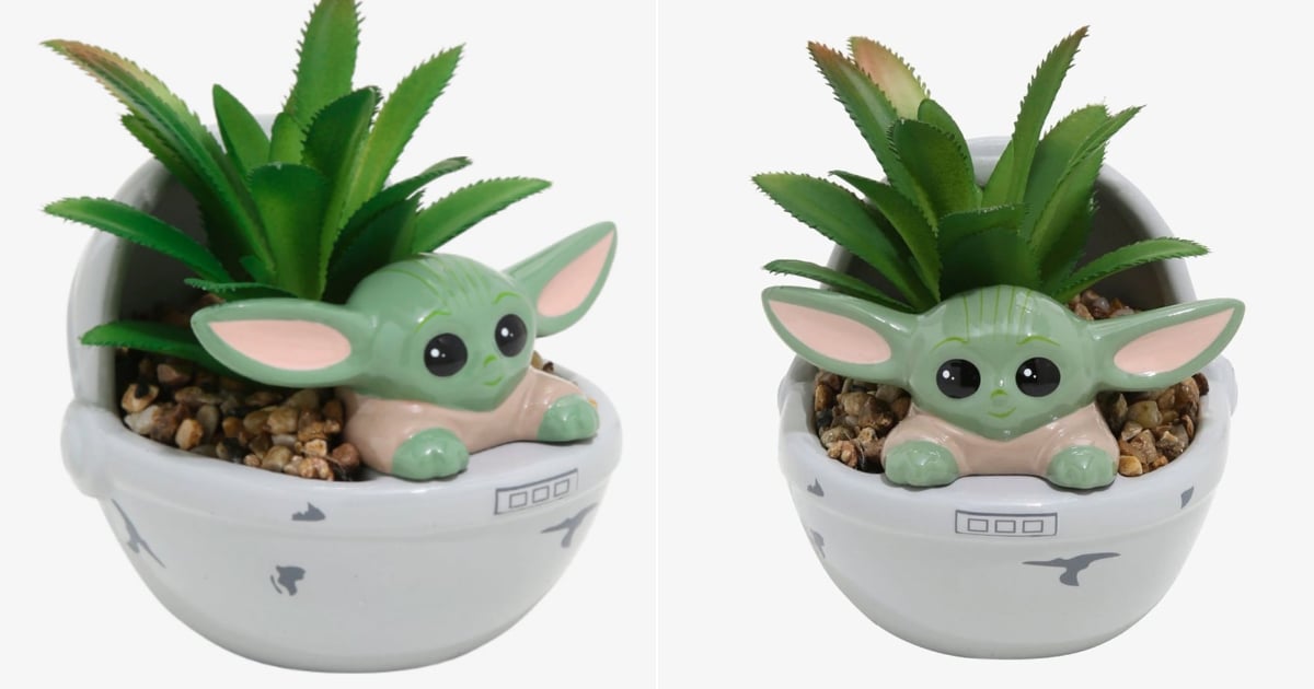 star wars succulent planter