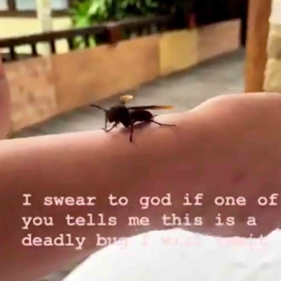 Chrissy Teigen and Daughter Luna Play With a Wasp
