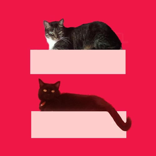 Social Media — The HRC Marriage Equality Sign