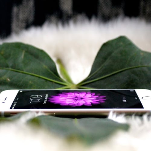 Flexible iPhone