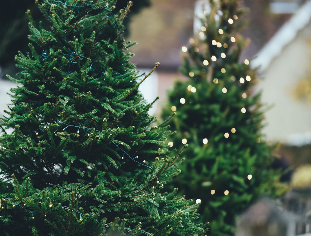 Smelling pine trees everywhere. Why the Holidays Are the Best Time of