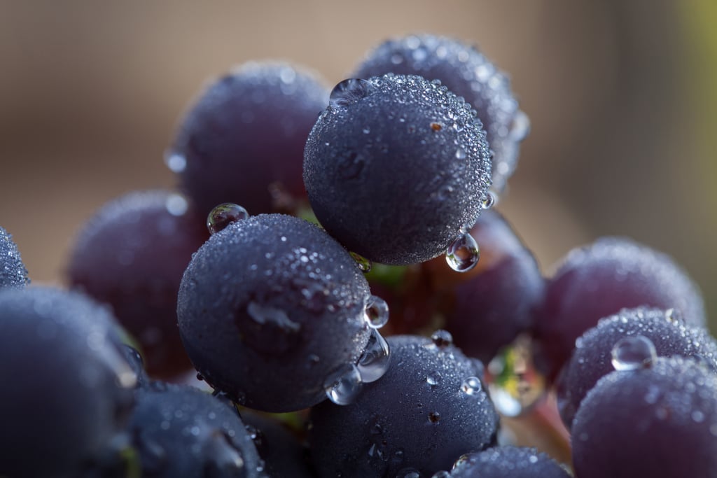 Red Grapes