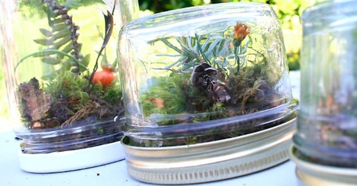 How to Reuse Baby Food Jars POPSUGAR Family