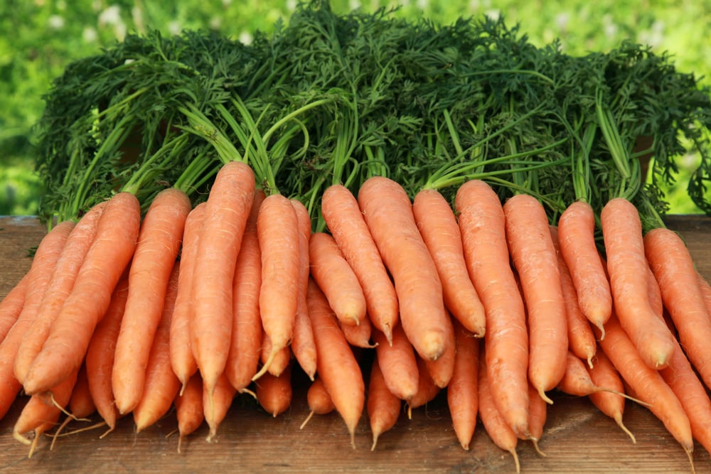 Carrots