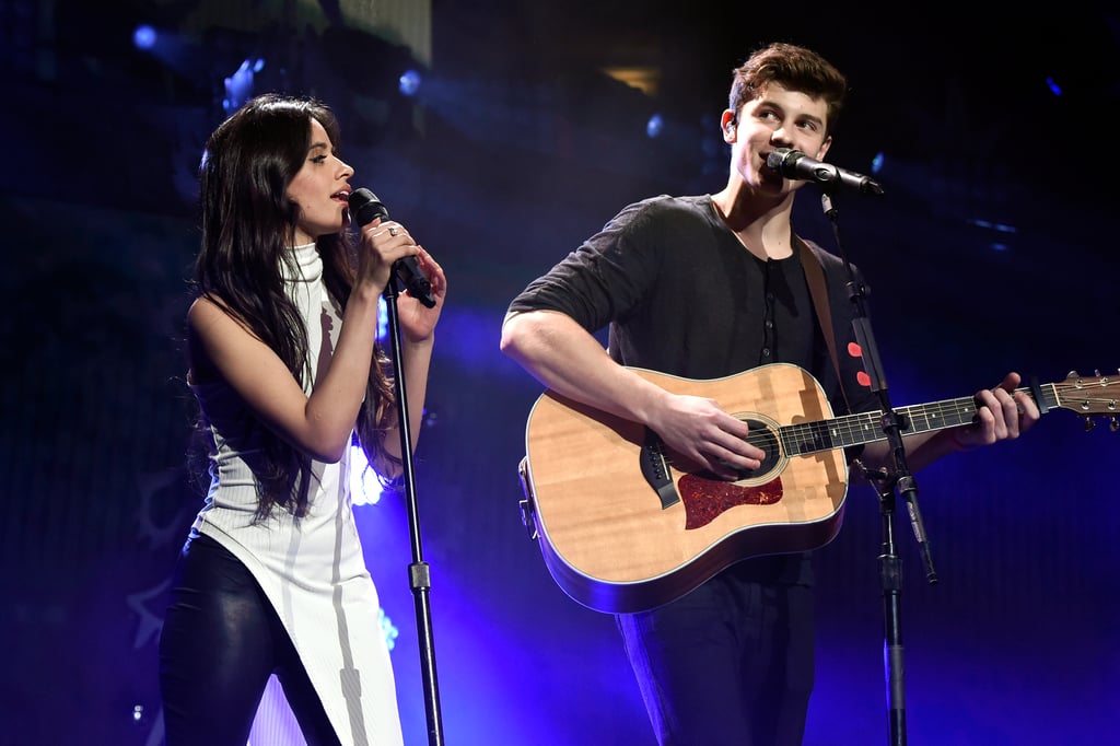 Camila Cabello and Shawn Mendes's Cutest Pictures