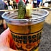 Dill Pickle Beer at the Minnesota State Fair