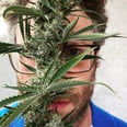 Seth Rogen Has a New Weed Company Called Houseplant — Here's What You Need to Know