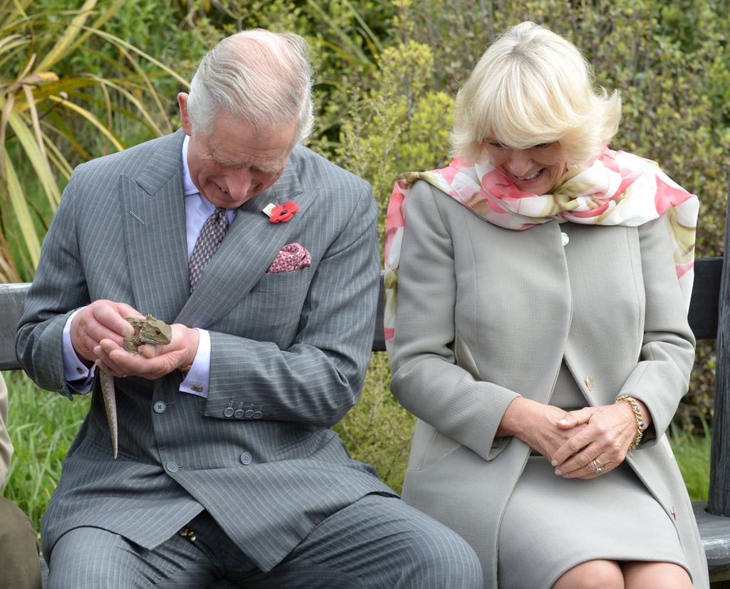 Photos of Prince Charles With Animals