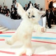 杰瑞德·莱托股票一些“猫Selfies”从他遇到了联欢晚会晚上Choupette服装