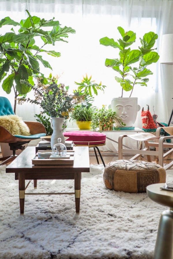 What to Try: Benches