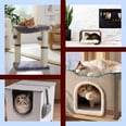 Calling All Cat Ladies! Shop Purrfect Gifts According to Cat Owners