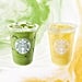 Starbucks Released New Yellow and Green Nondairy Iced Drinks