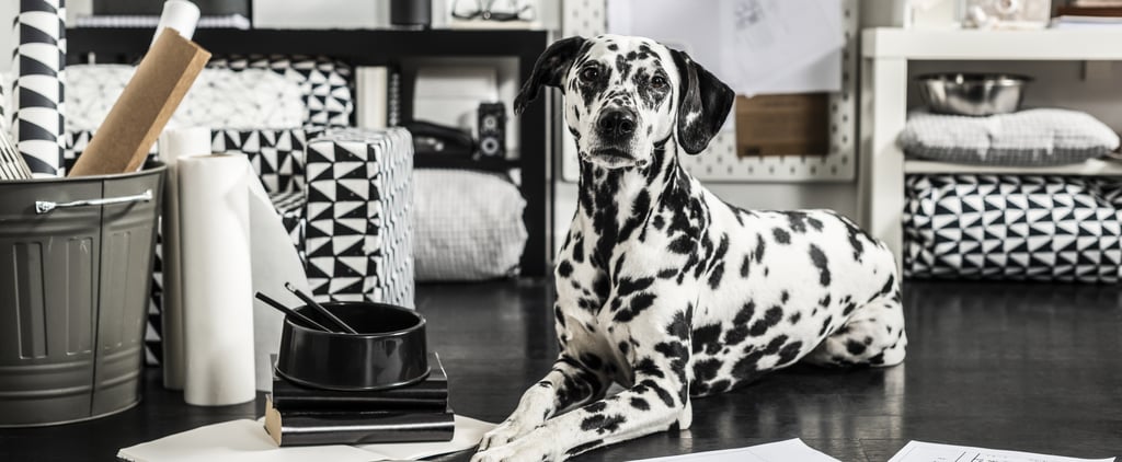 Ikea Launches New 2019 Lurvig Pet Collection