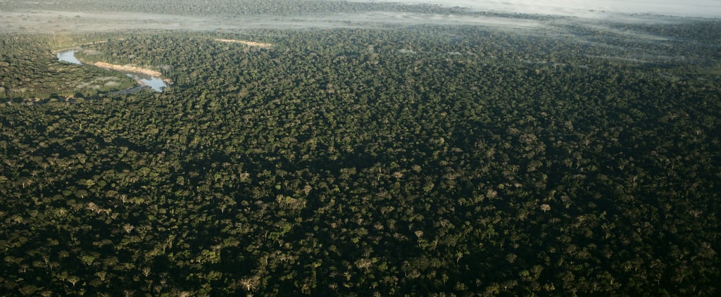 Photos of Amazon Rainforest