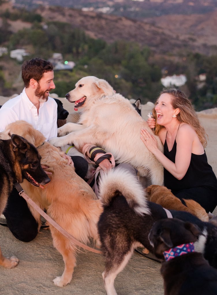 Man Proposes to His Girlfriend With 16 Dogs