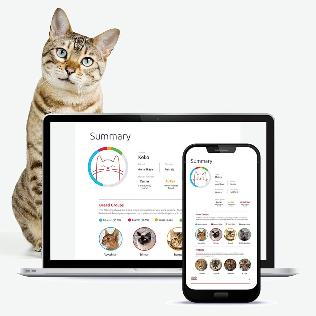 Basepaws Cat DNA Test Kit