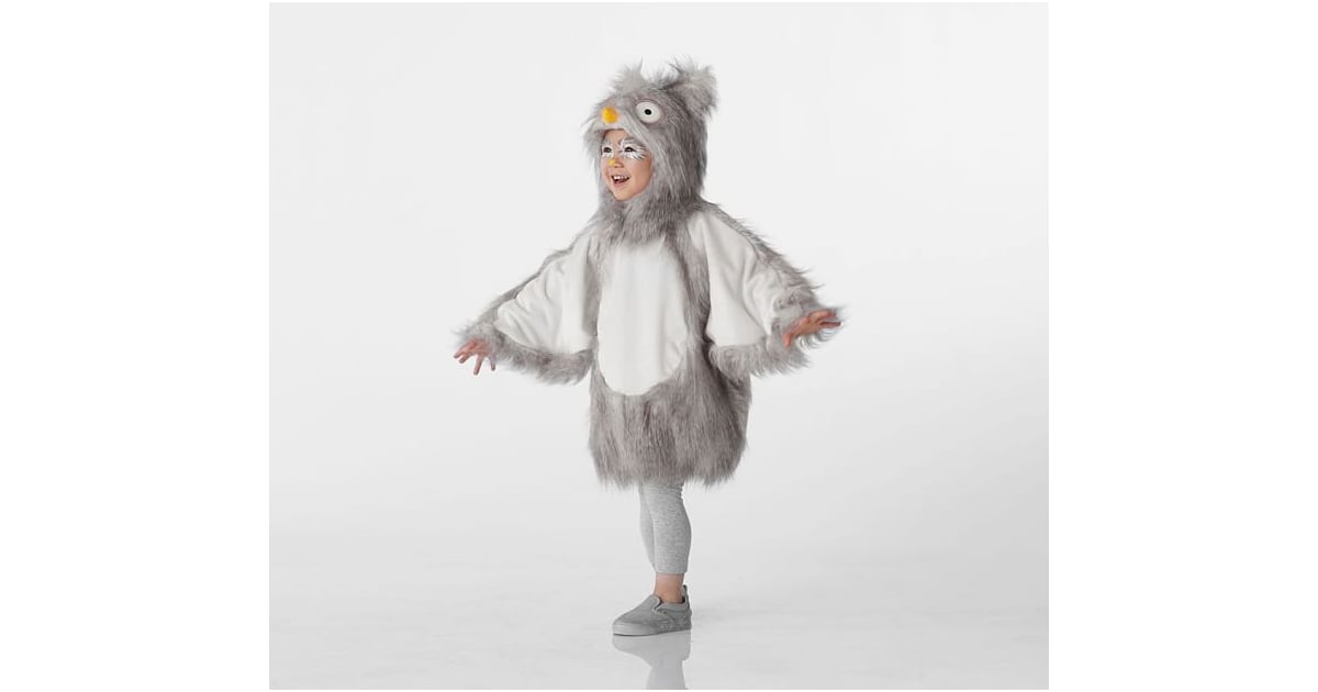 Pottery Barn Kids Woodland Owl Costume Your Kids Will Go Wild