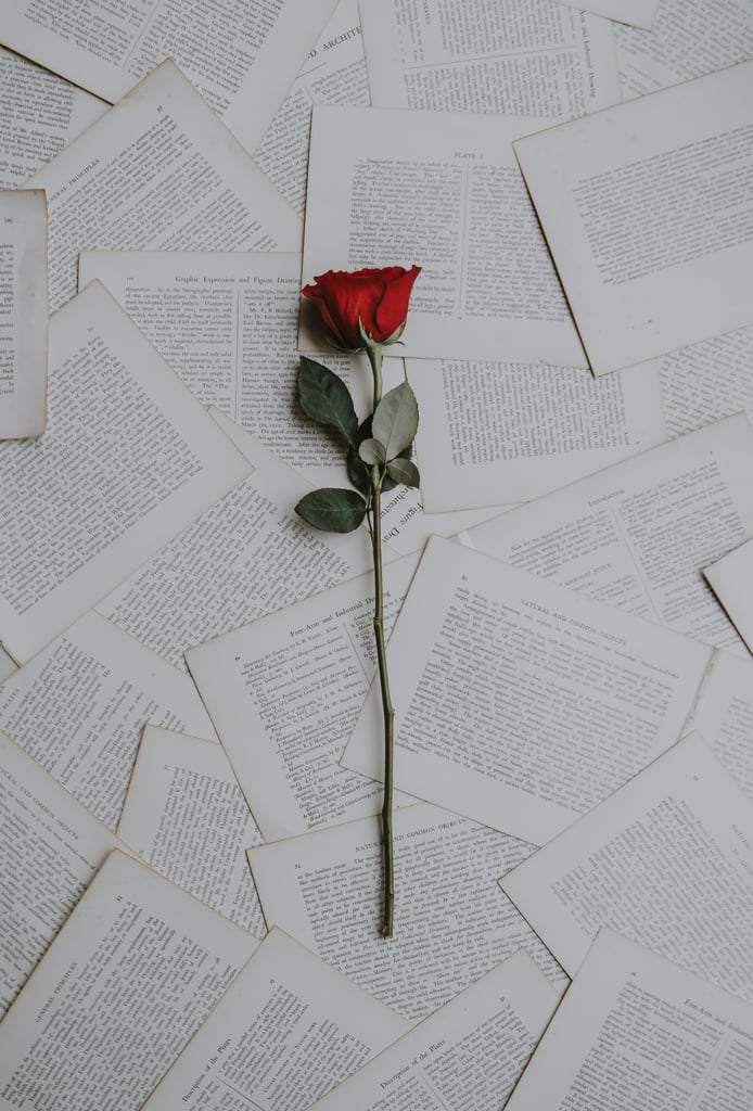 情人节壁纸:单一的红玫瑰