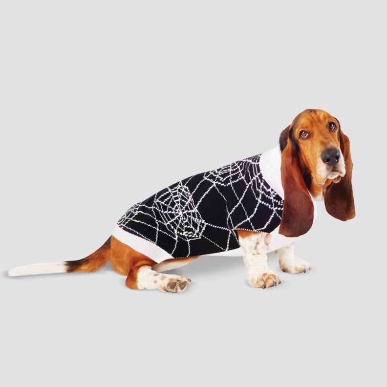 Spiderweb Halloween Dog and Cat Sweater