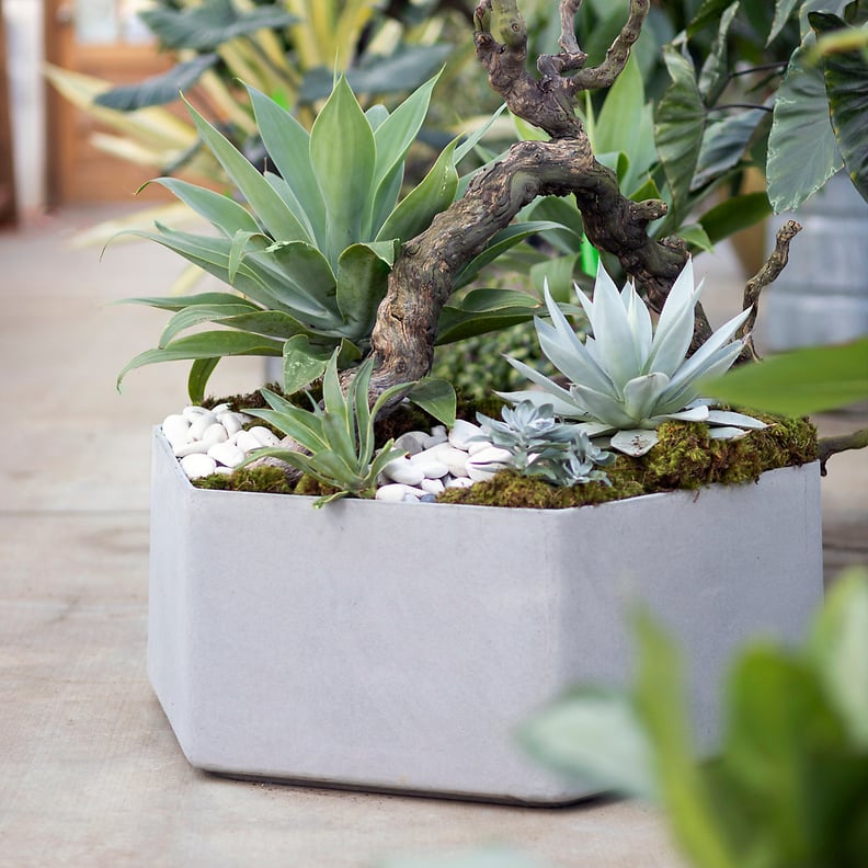 Fiber Hexagon Planter