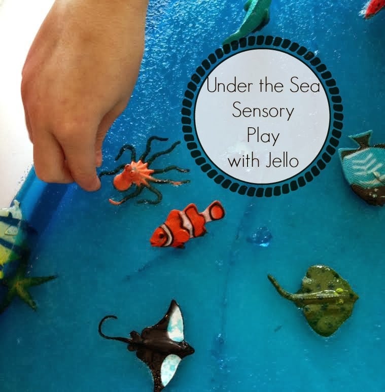 A House for Hermit Crab: Under-the-Sea Sensory Play