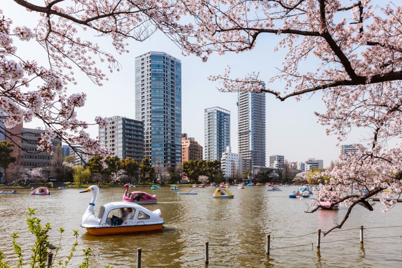 Ride in a paddleboat.