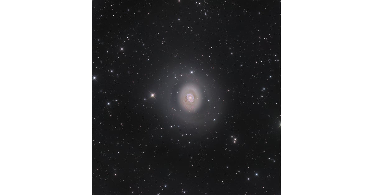 Galaxies Winner: M94: Deep Space Halo | Insight Astronomy Photographer ...